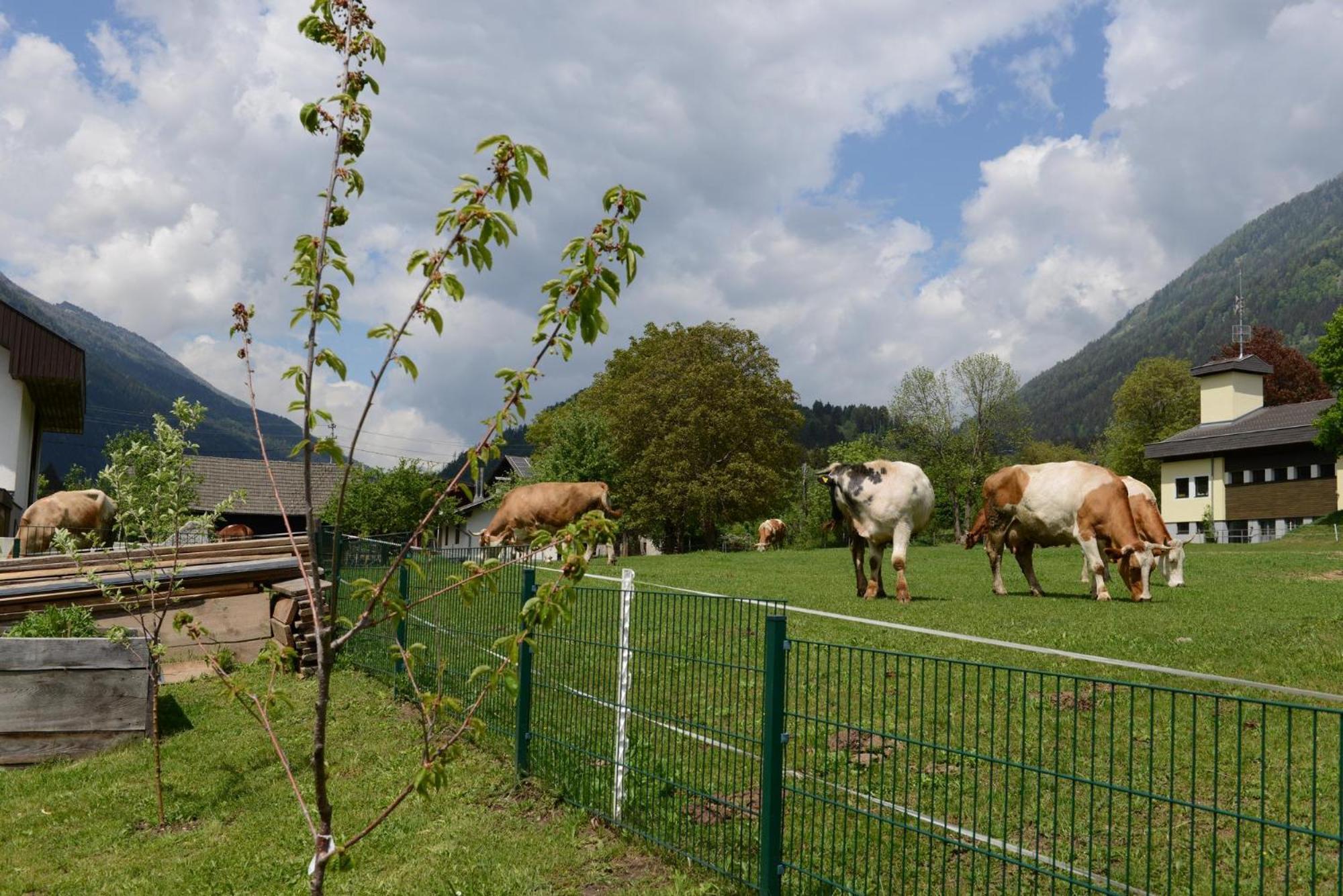 Ferienhaus Kolbnitz Unterkolbnitz Екстериор снимка